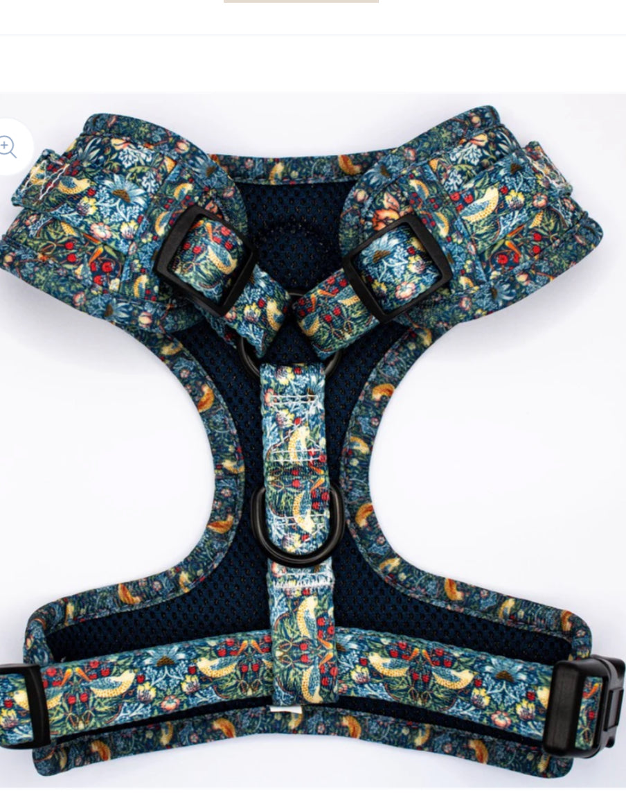 Love From Marnie Adjustable Harness - Strawberry Thief Blue