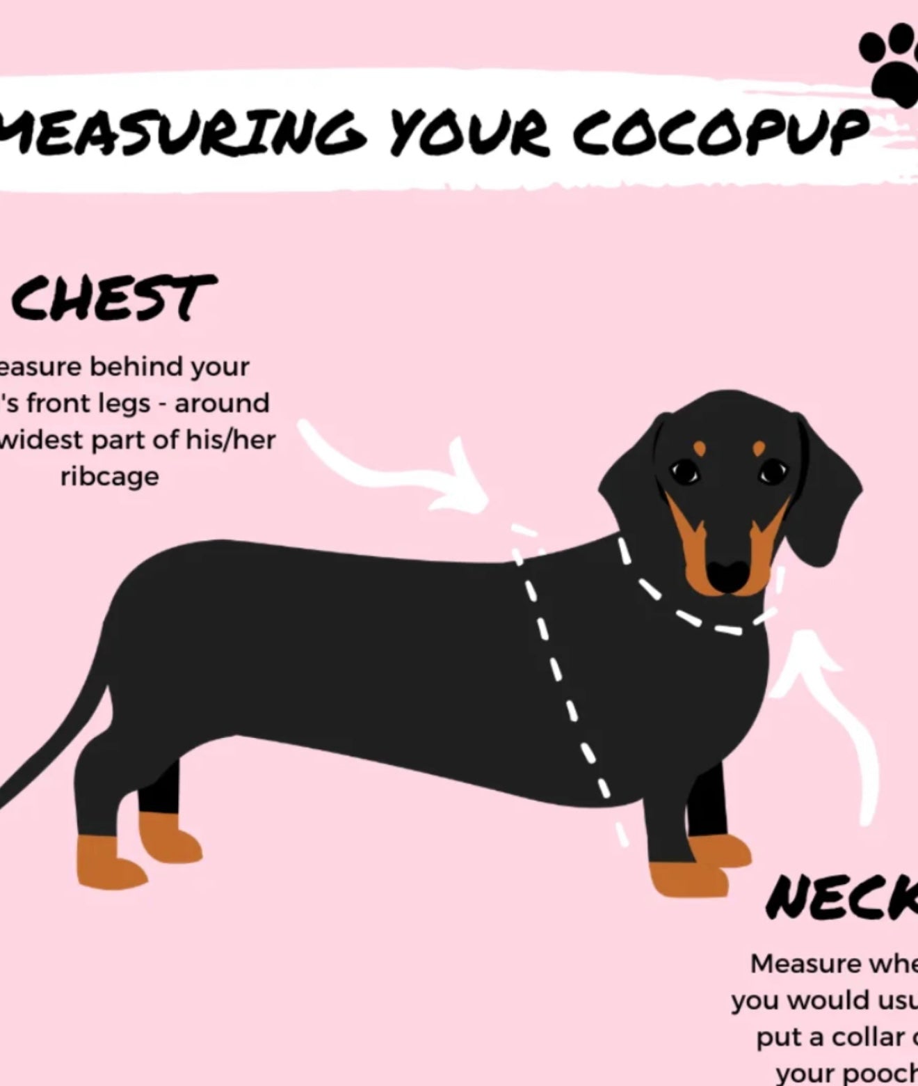 Cocopup London Theo Embroidered Teddy Adjustable Harness