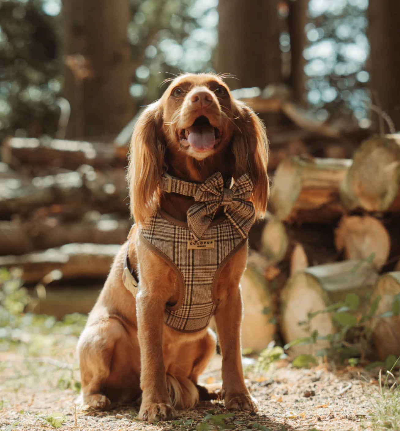 Cocopup London Adjustable Neck Harness - Pup Plaid