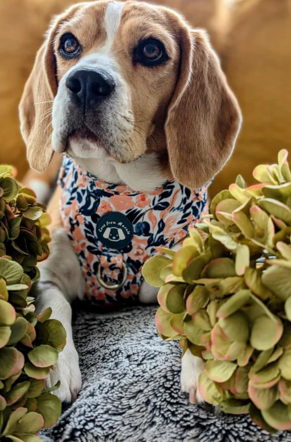 Love From Marnie Adjustable Harness - Pastel Peach