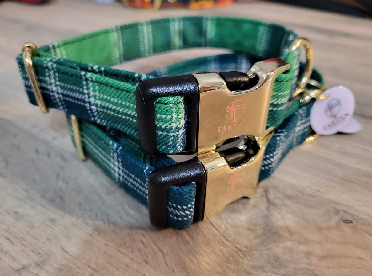 Tartan Terrors McDonald Lord of the Isles Tartan Collar