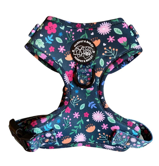Murphy & Bailey Adjustable Harness - Belmont Blooms