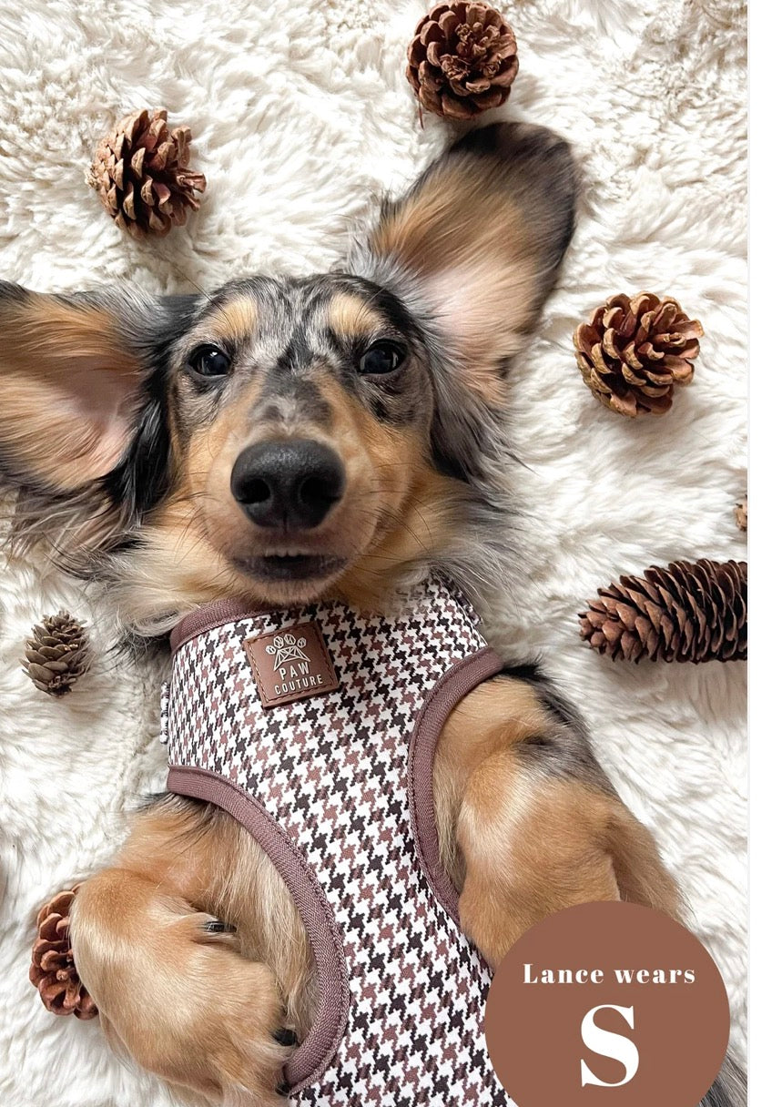 Paw Couture Country Houndstooth Adjustable Harness