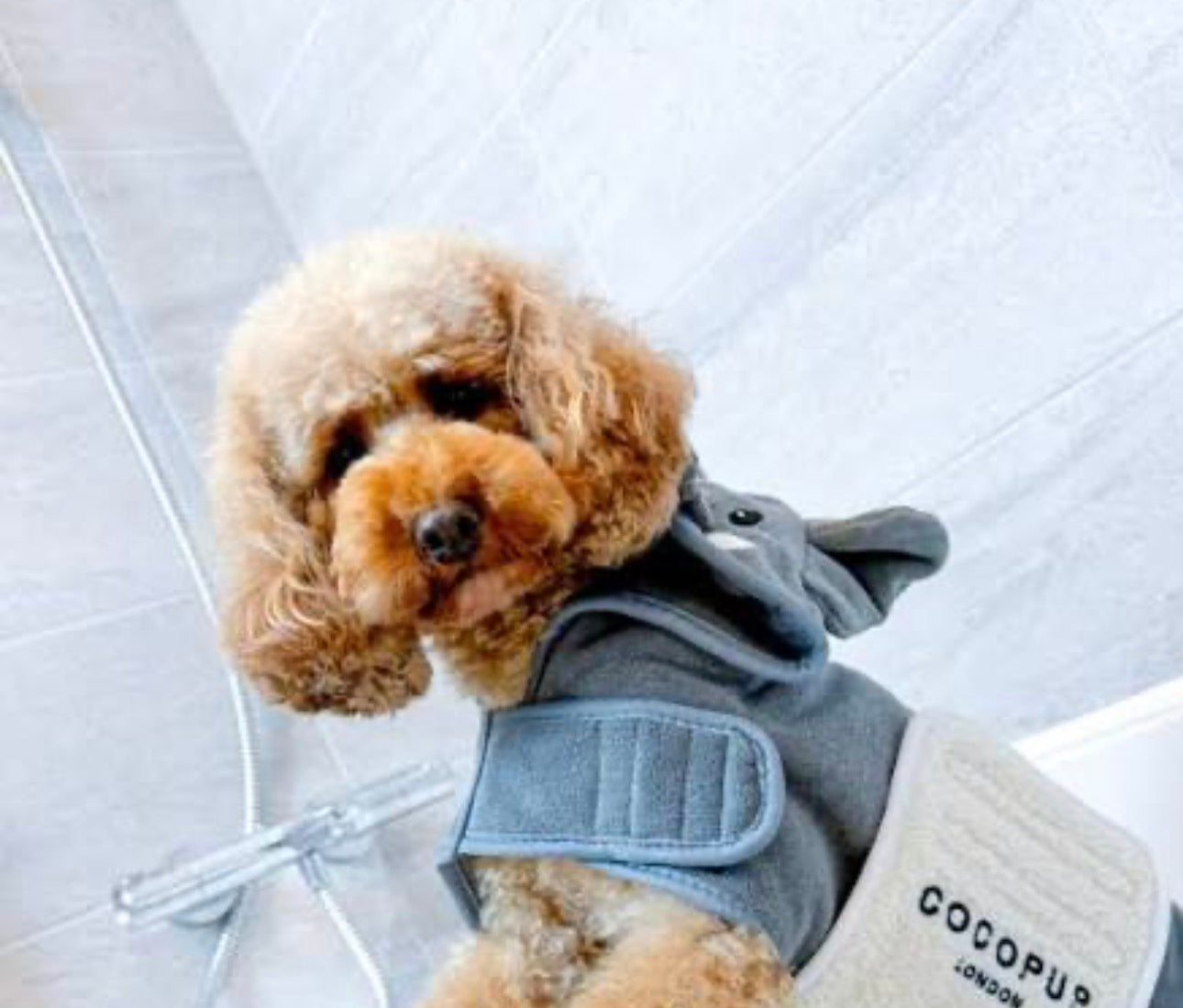 Cocopup London Nelly the Elephant Dog Drying Robe