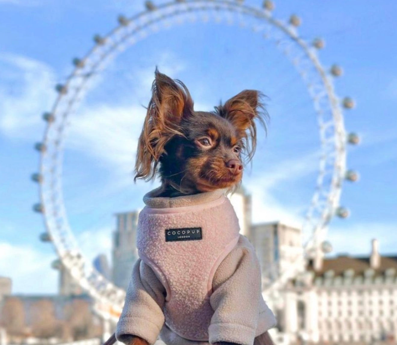 Cocopup London Teddy Adjustable Neck Harness Love-a-Lot
