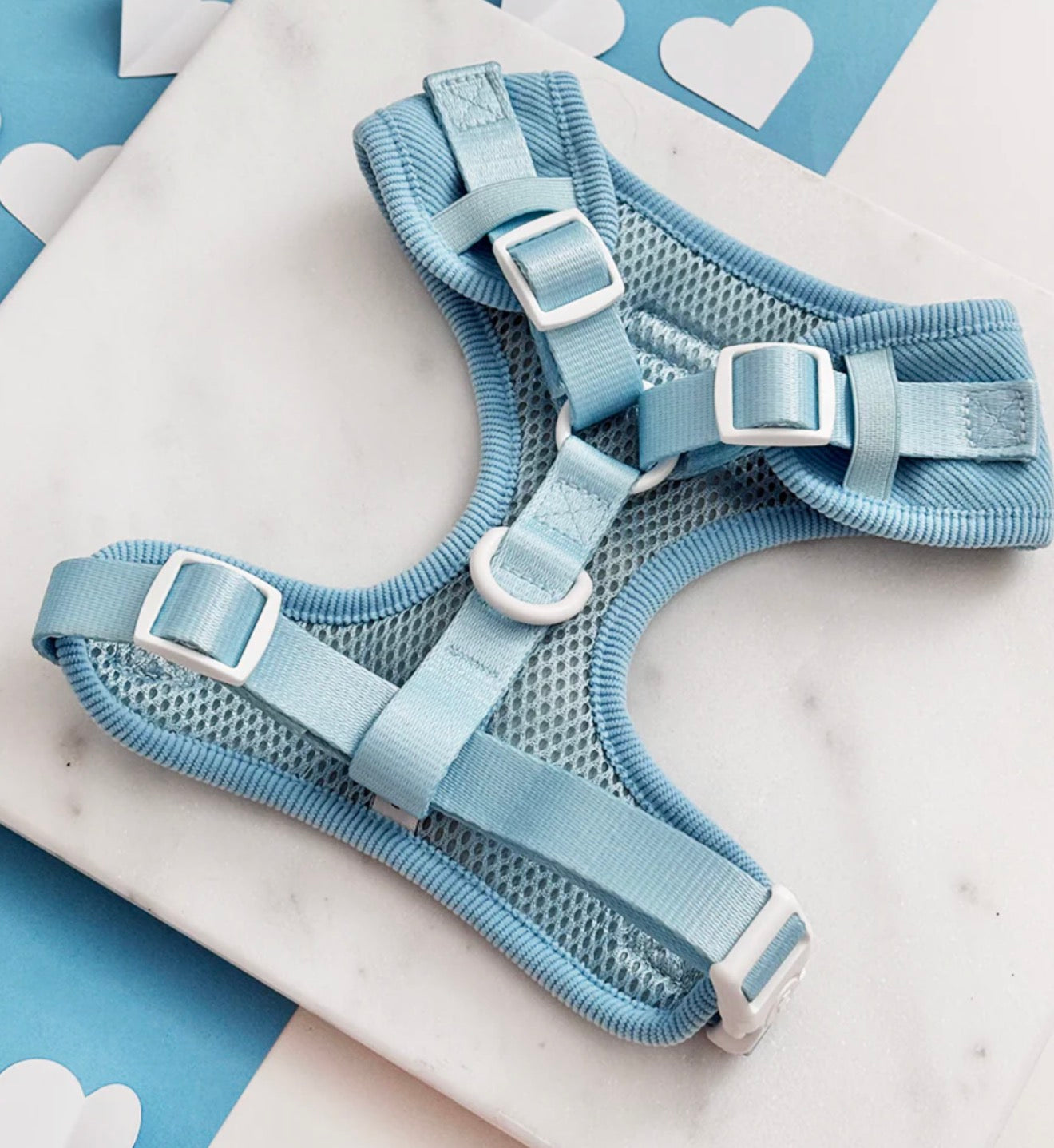 Cocopup London Blue Heartstrings Cord Adjustable Neck Harness