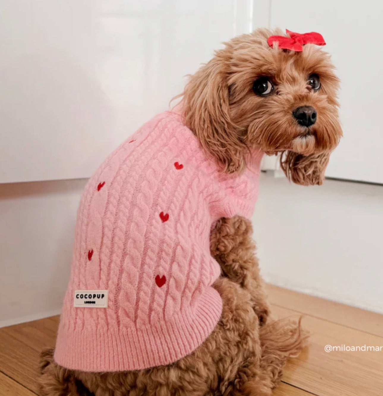 Cocopup London Dog Jumper Pink Heartstrings