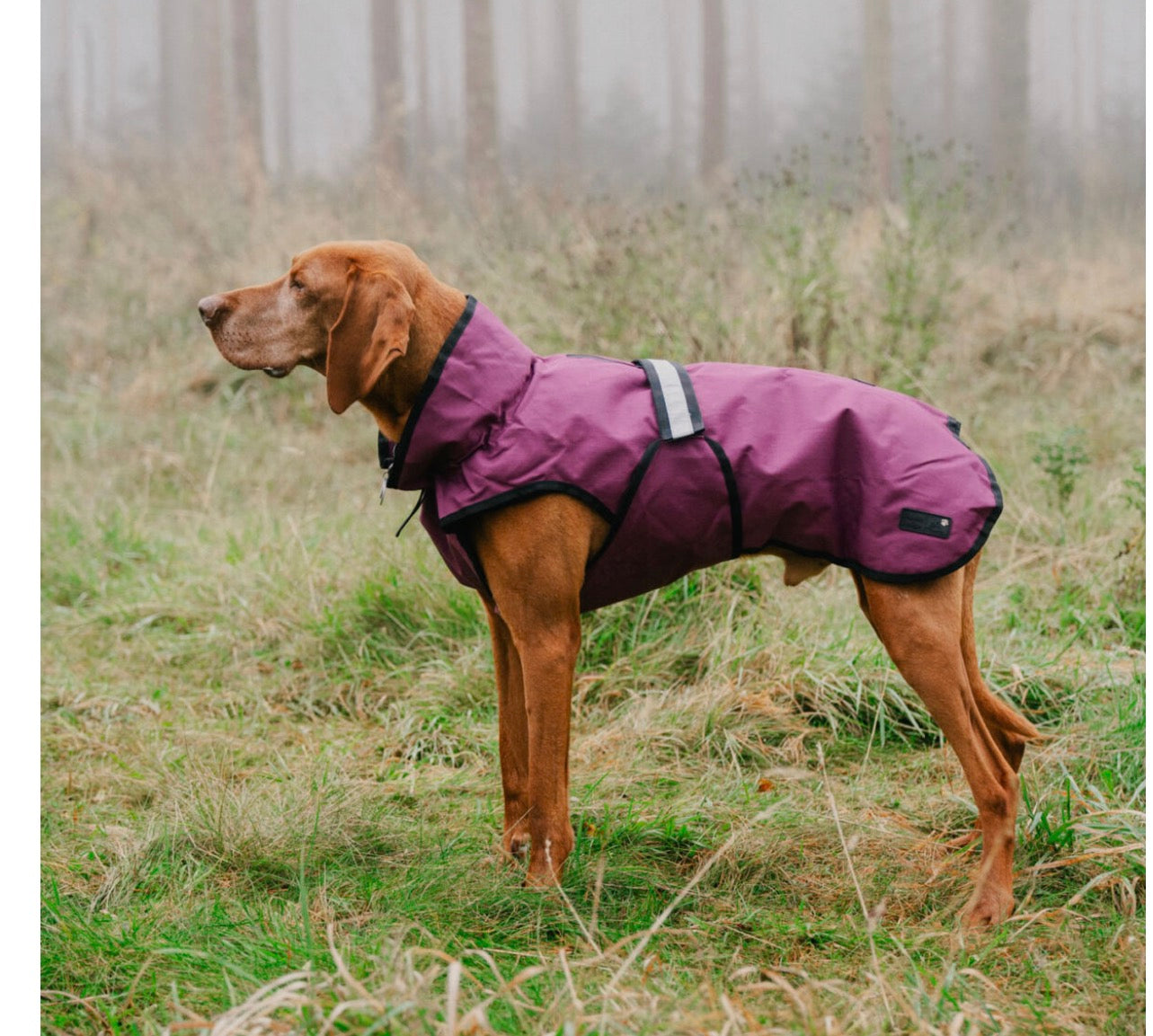 Danish Design 3 n 1 Dog Jacket Burgandy