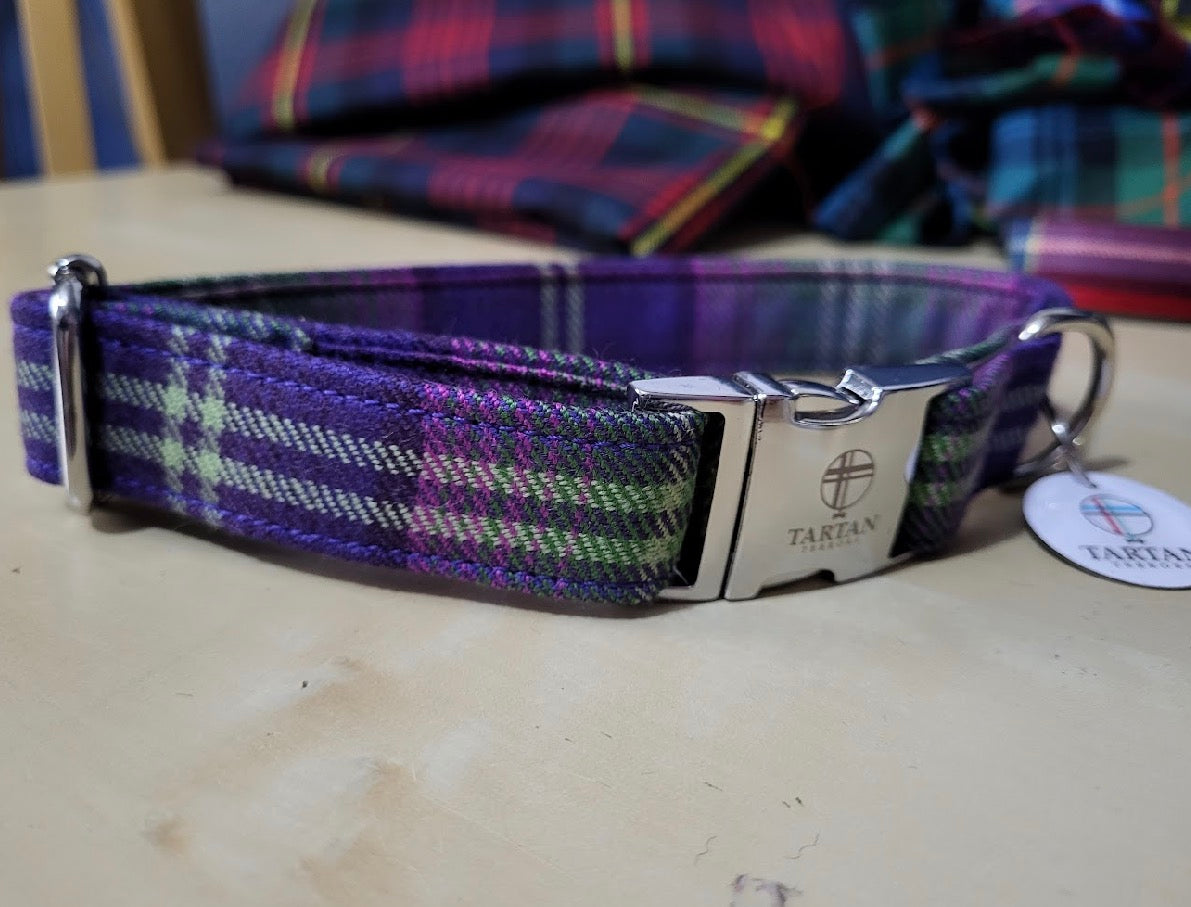 Tartan Terrors Troon Tartan Collar