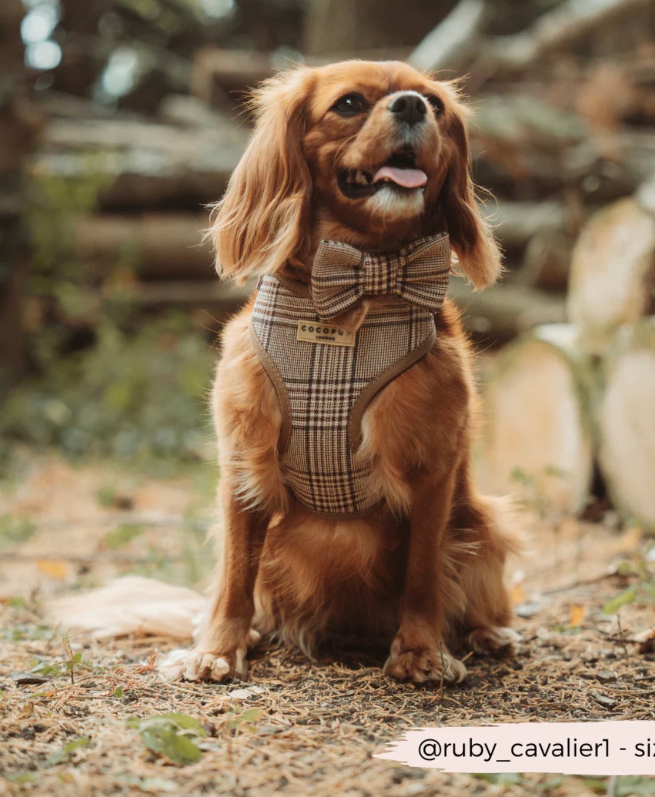 Cocopup London Pup Plaid Collar