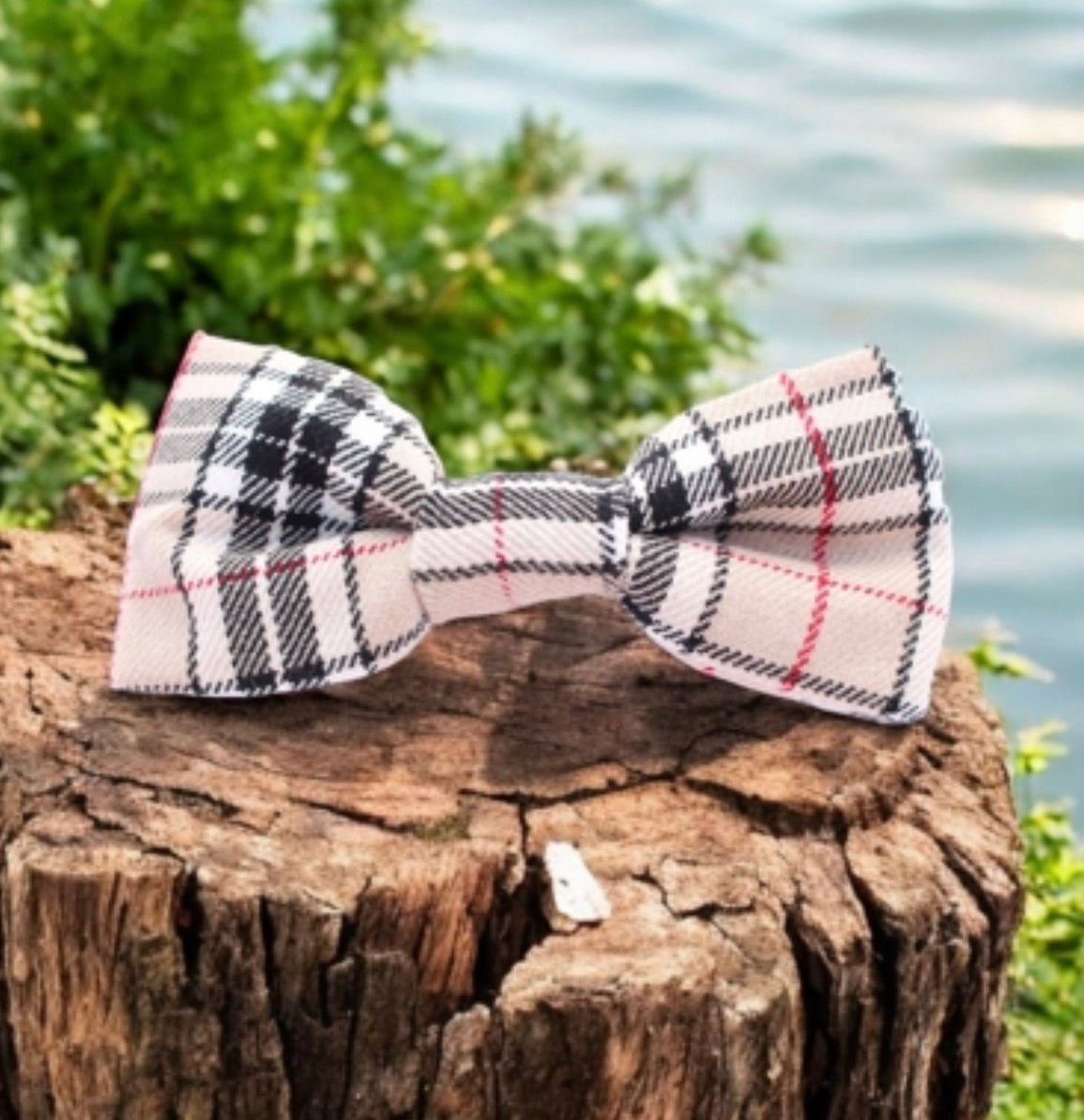Pet Pouch Boutique Classic Beige Barkberry Bow Tie