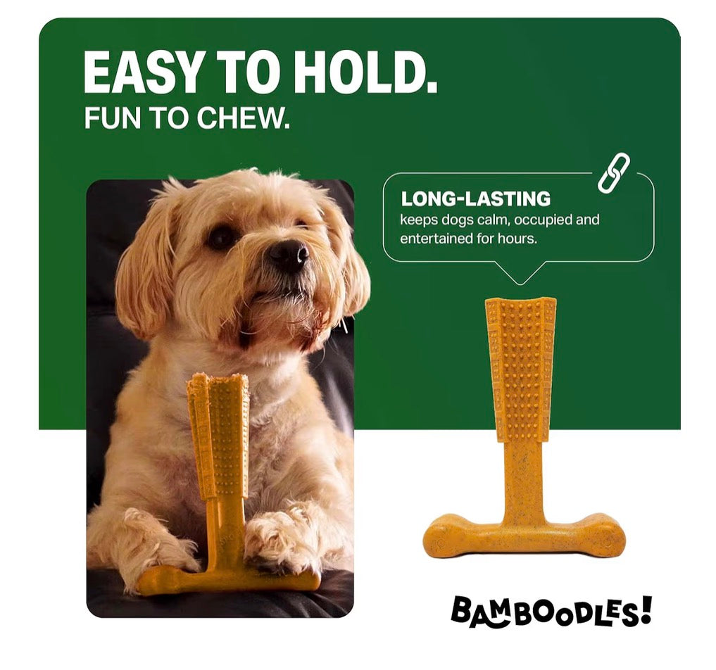 Bamboodles T-Bone Chew Toy Medium Size Peanut Butter Flavour
