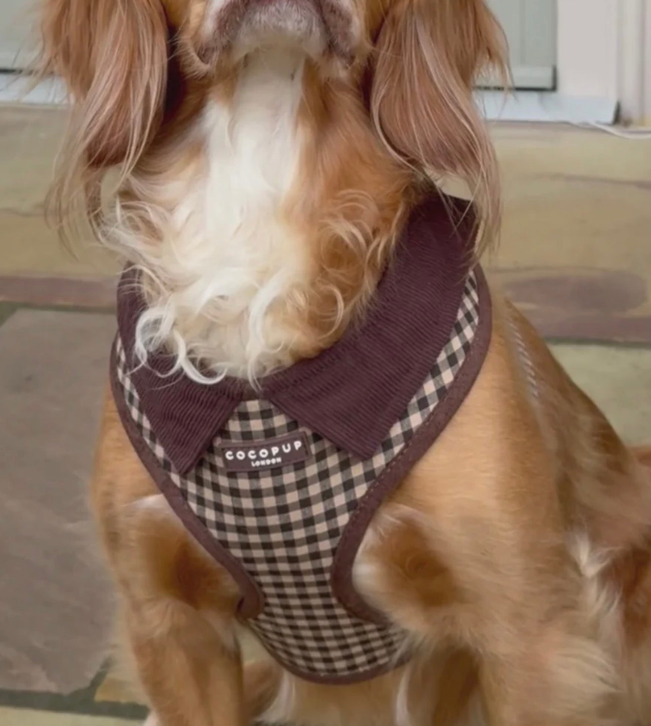 Cocopup London Cotswold Check Adjustable Neck Harness