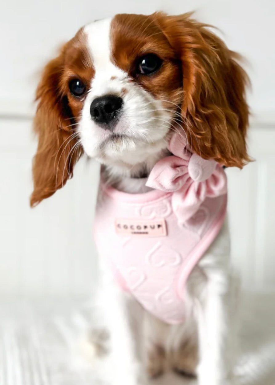 Cocopup London Luxe Baby Pink Heart Collar Flower