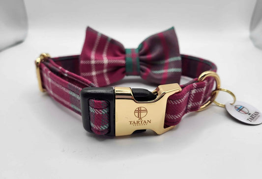 Tartan Terrors Crawford Ancient Tartan Collar