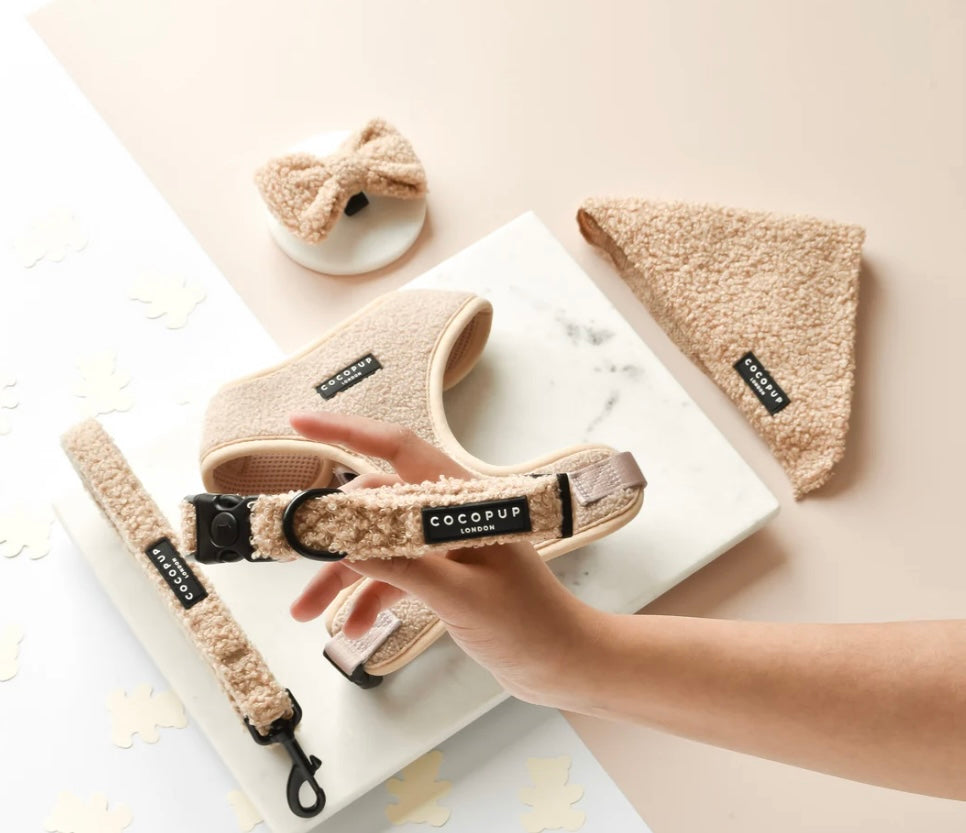 Cocopup London Teddy Collar - Rupert