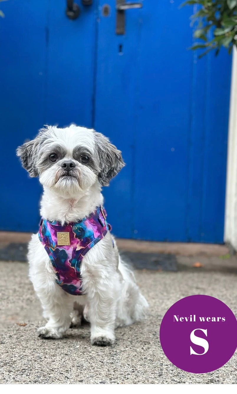Paw Couture Cosmos Deluxe Adjustable Harness