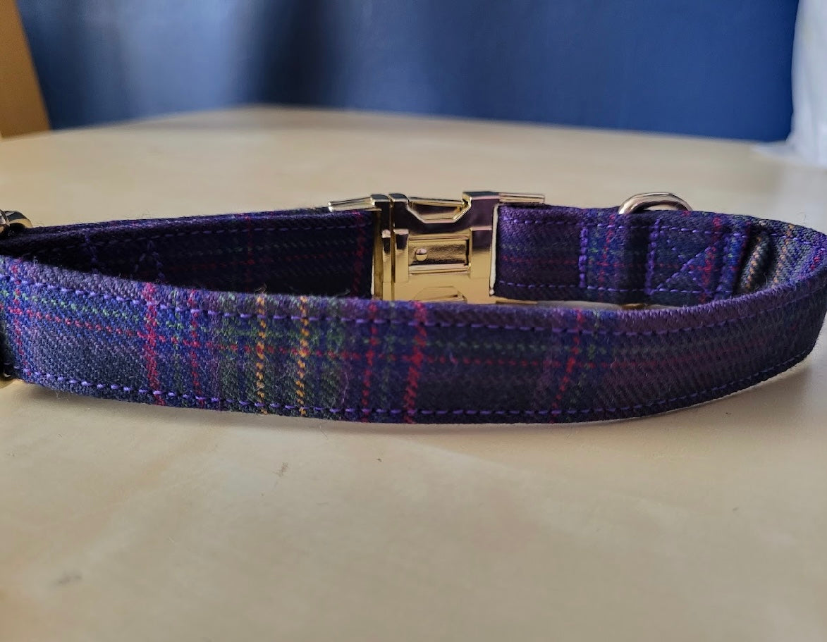 Tartan Terrors Monarch of the Glen Tartan Collar