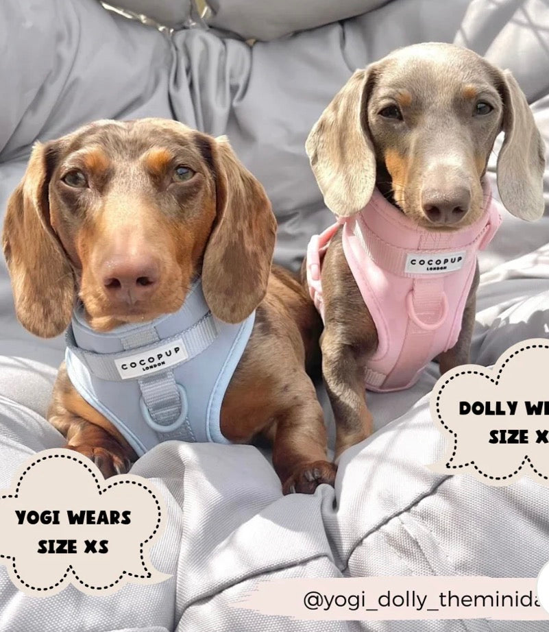 Cocopup London Nakd Adjustable Neck Harness - Bubblegum