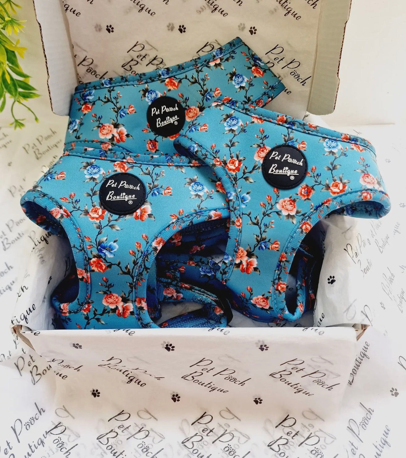 Pet Pooch Boutique Rosie Rose Cornflower Blue Floral Dog Harness