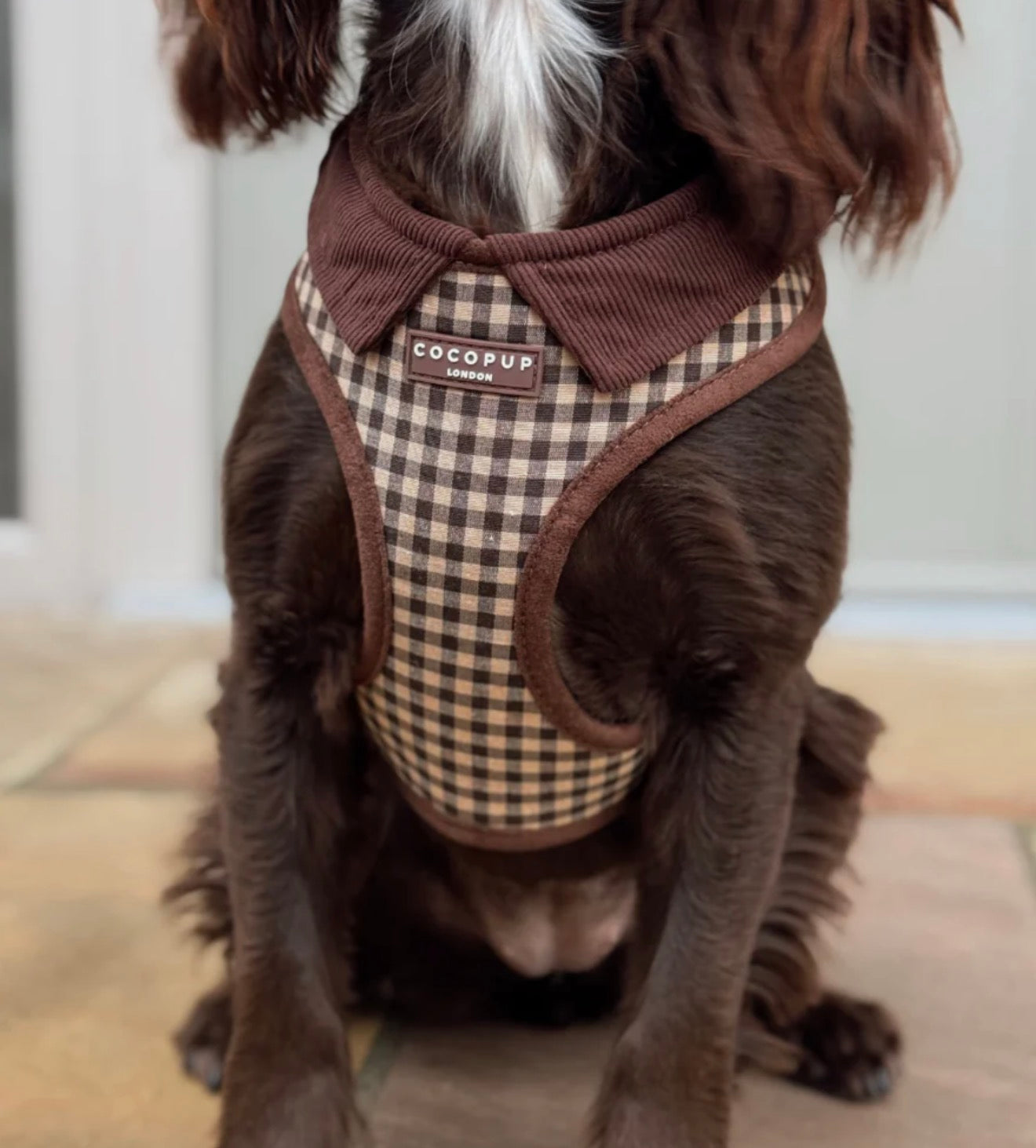 Cocopup London Cotswold Check Adjustable Neck Harness