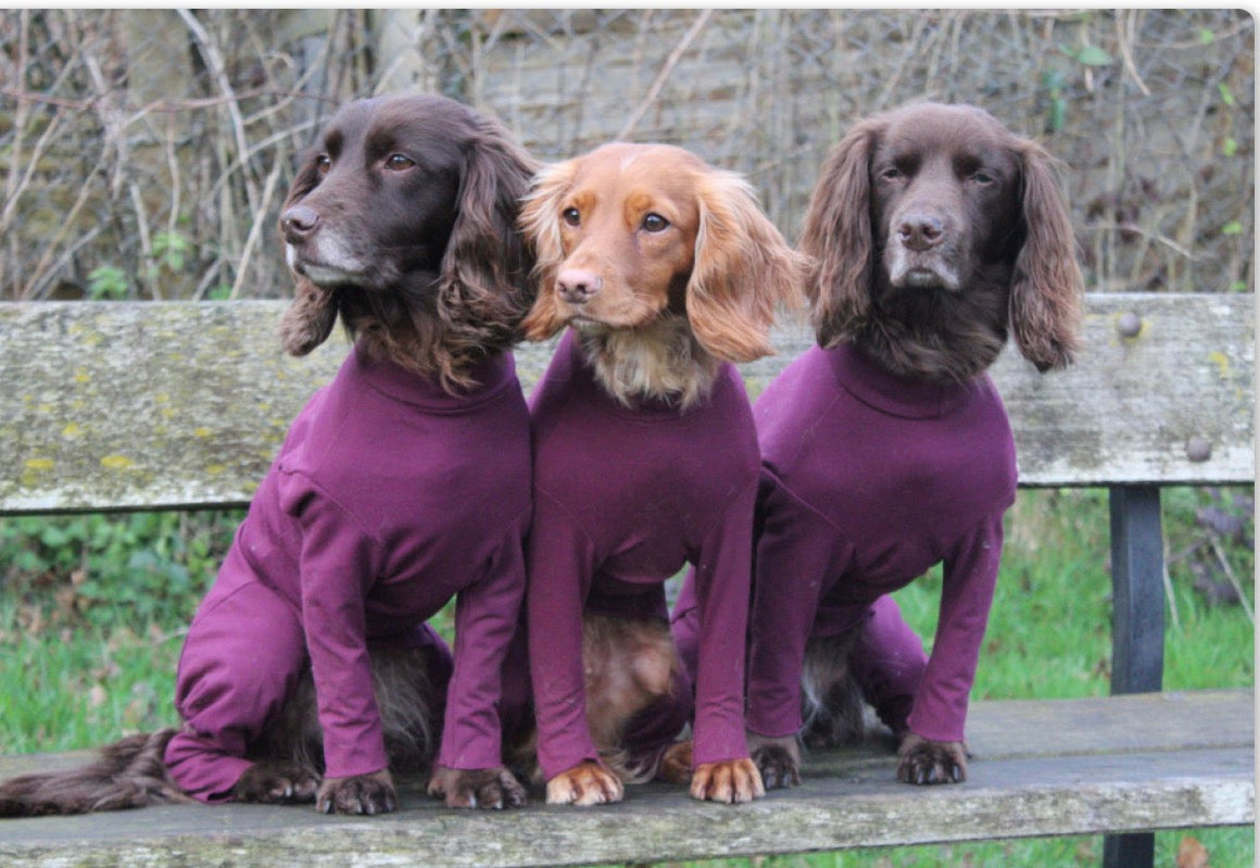 Equifleece Summer Suit Dachsie 19 Pink