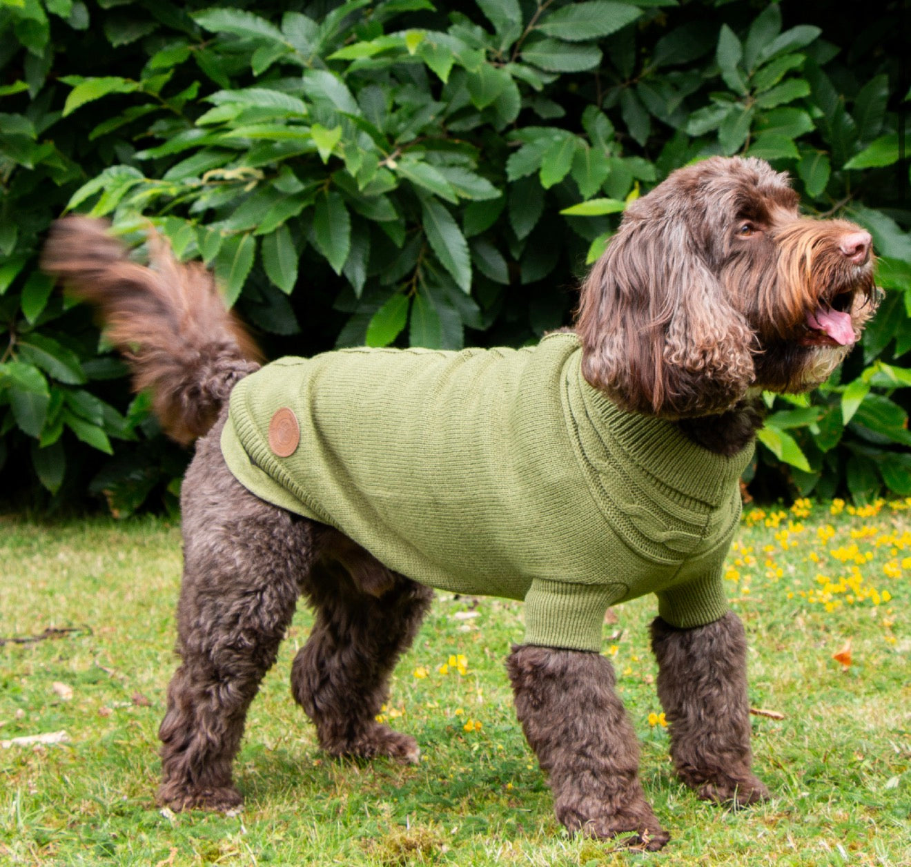 Ancol Cable Knit Jumper Green