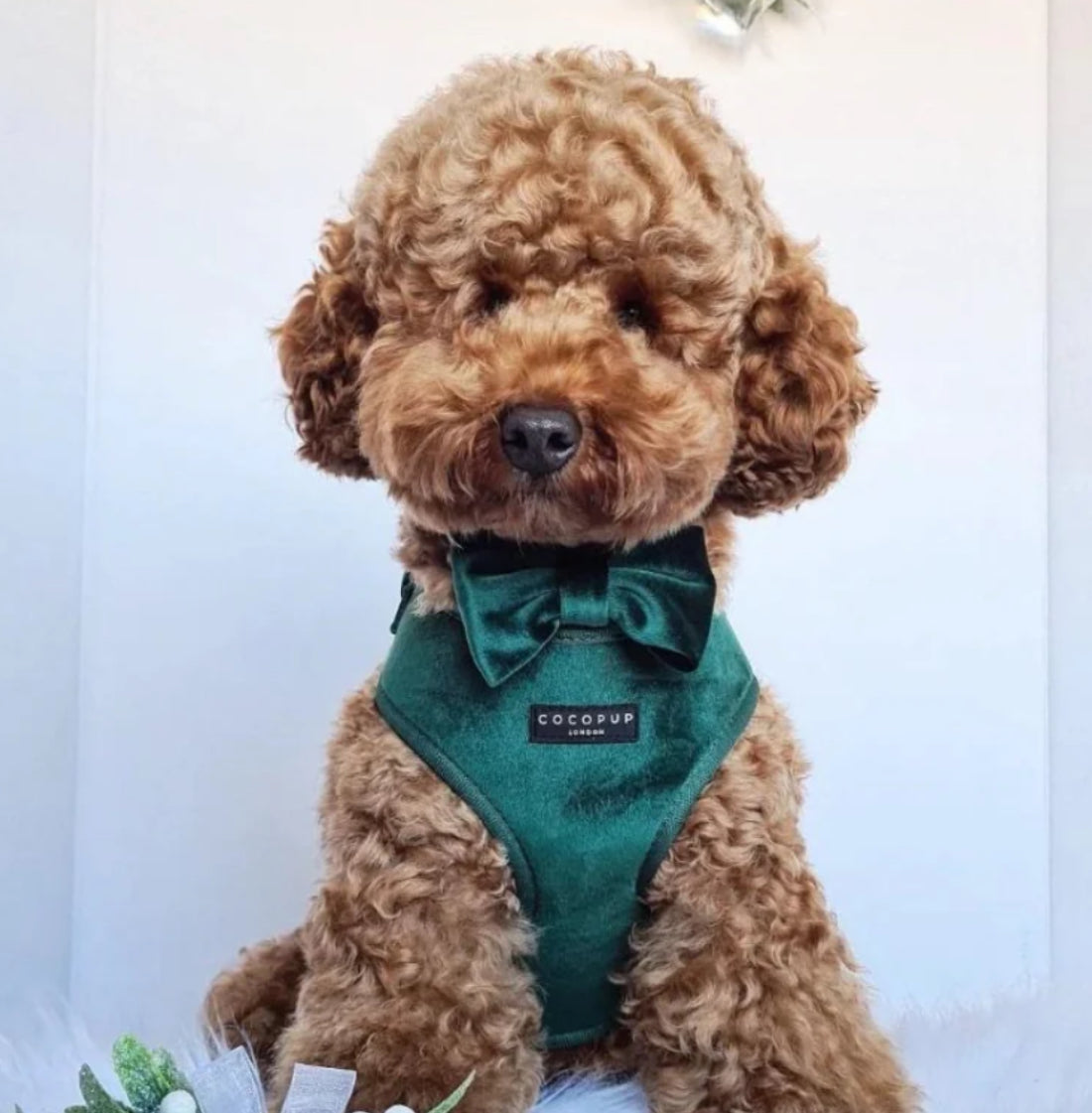 LUXE VELVET ADJUSTABLE NECK HARNESS - FOREST GREEN