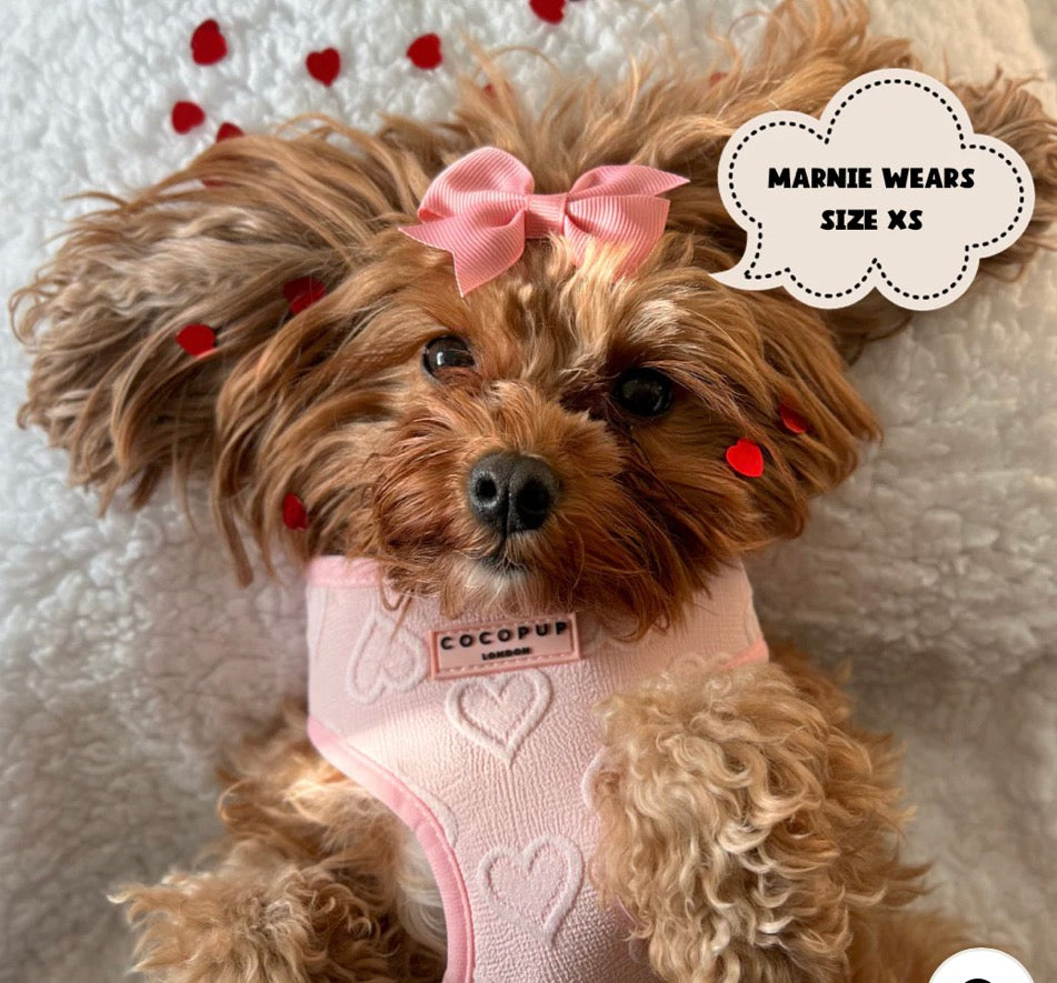 Cocopup London Baby Pink Heart Adjustable Neck Harness