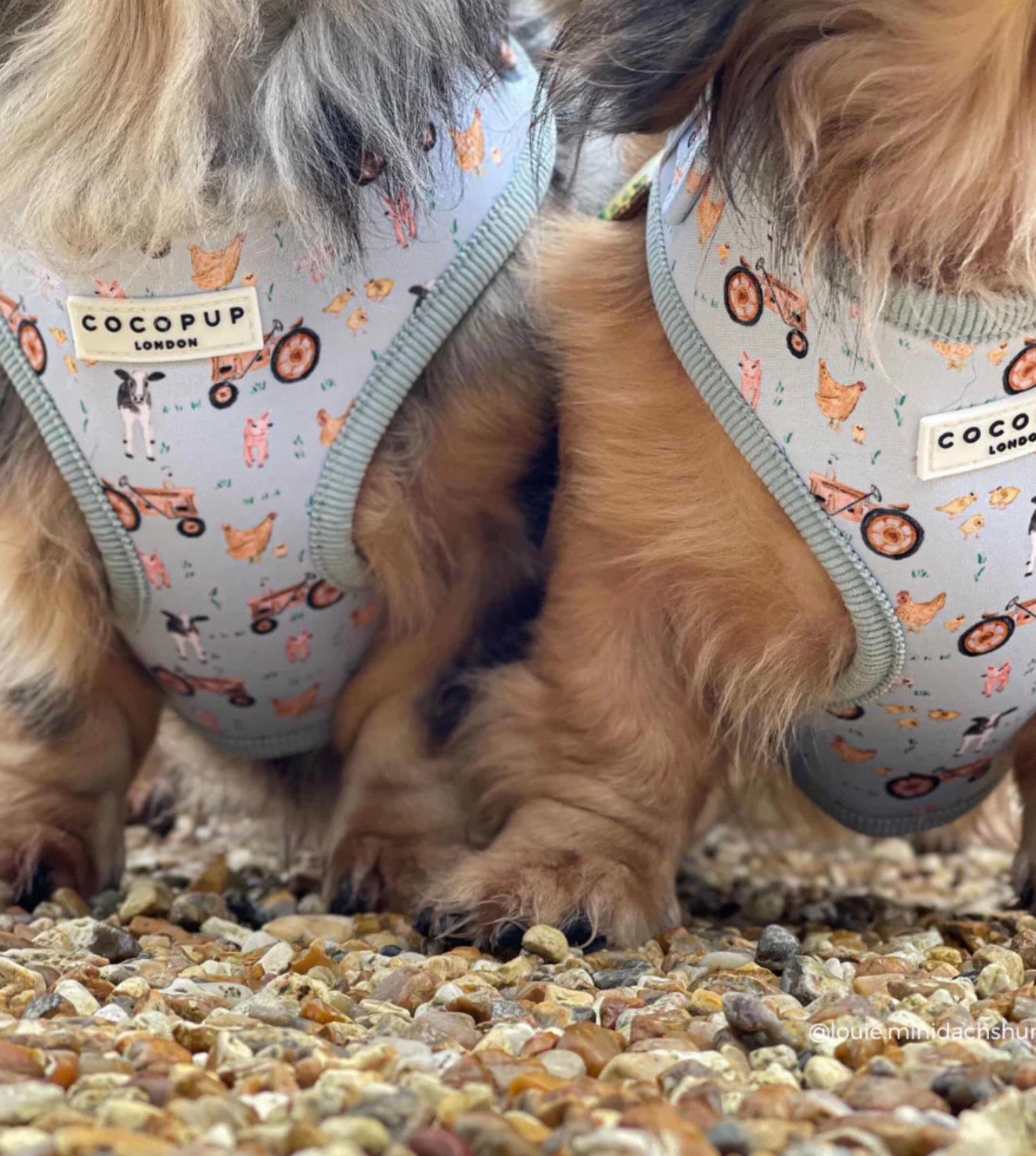 Cocopup London Barnyard Buddies Adjustable Neck Harness