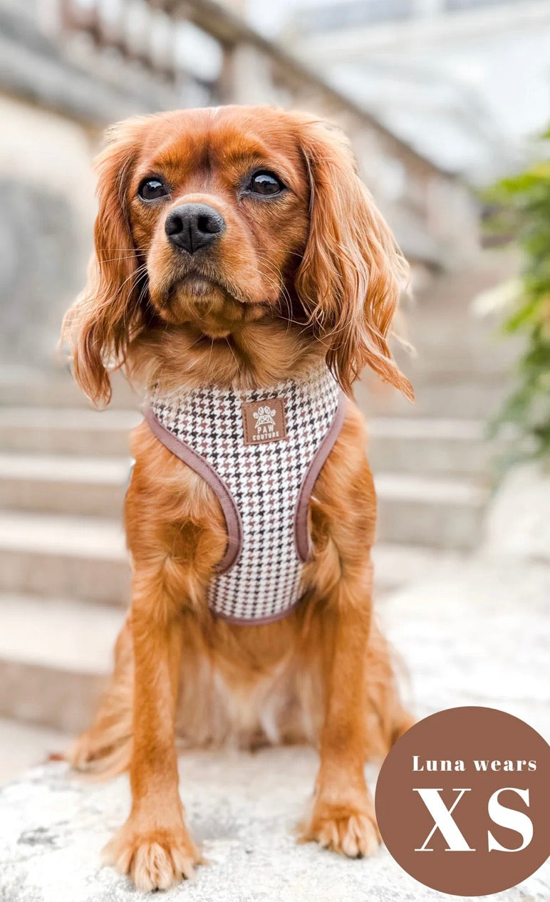 Paw Couture Country Houndstooth Adjustable Harness