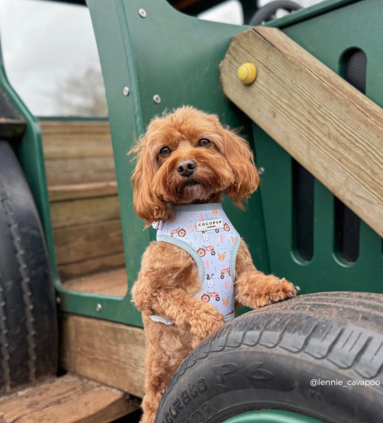 Cocopup London Barnyard Buddies Adjustable Neck Harness