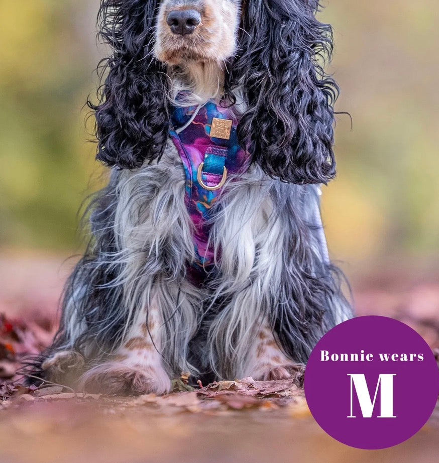 Paw Couture Cosmos Deluxe TrailBlazer Harness