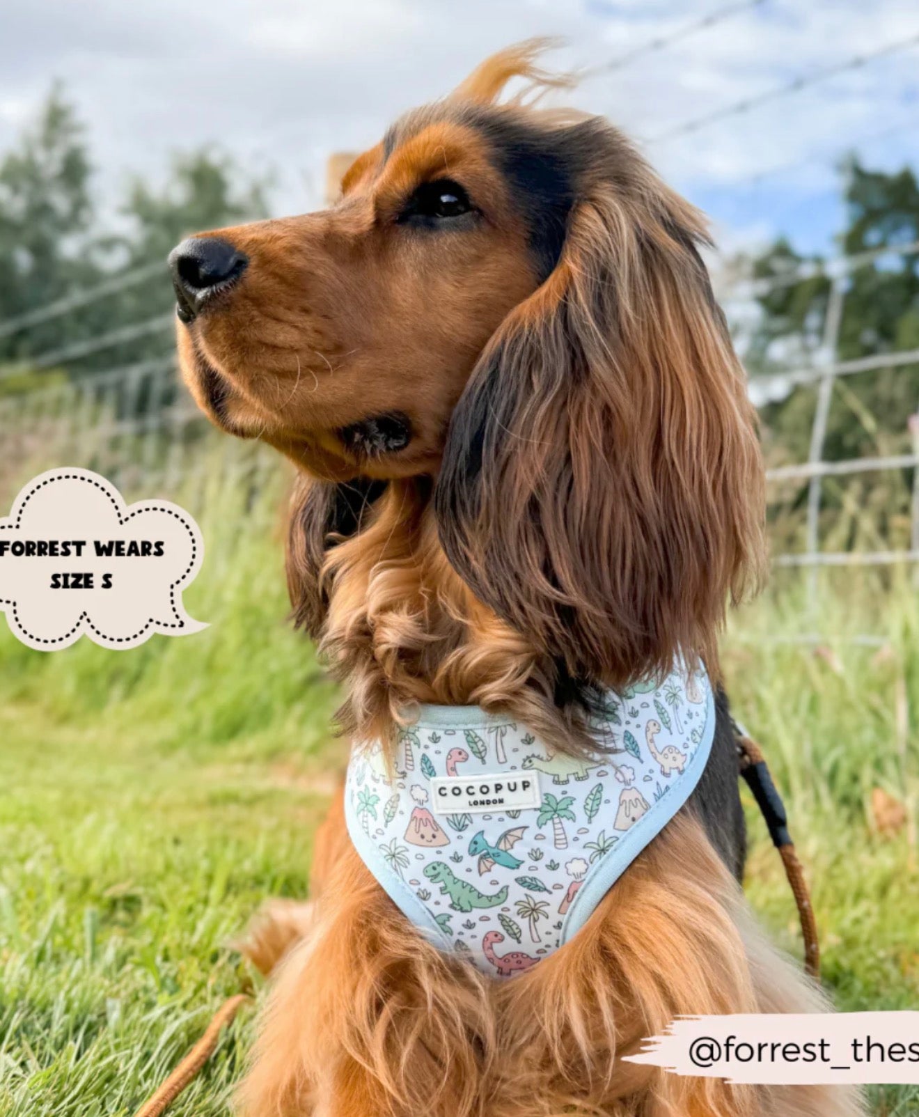 Cocopup London Dinopaws Adjustable Neck Harness