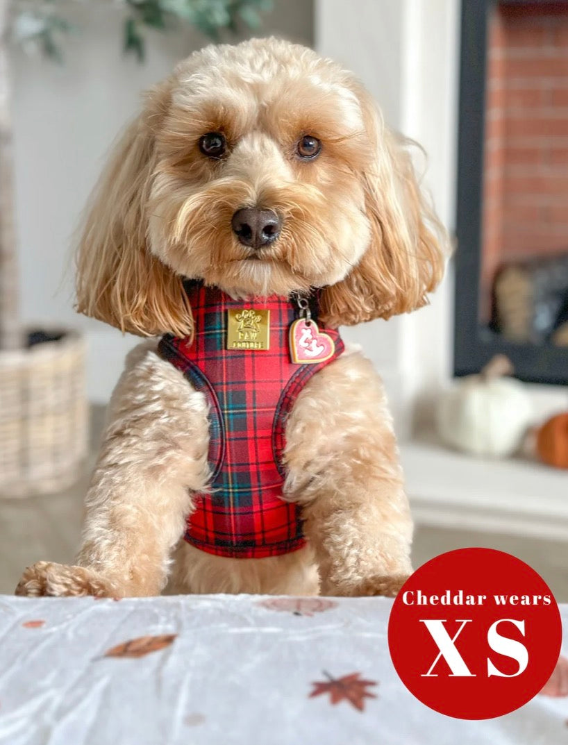 Paw Couture Tartan Deluxe Adjustable Harness