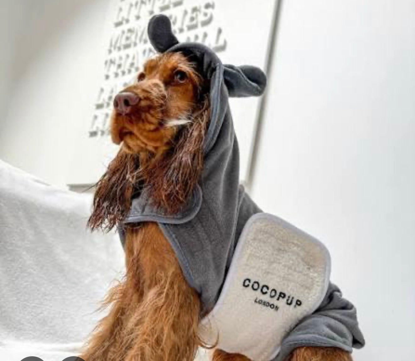 Cocopup London Nelly the Elephant Dog Drying Robe