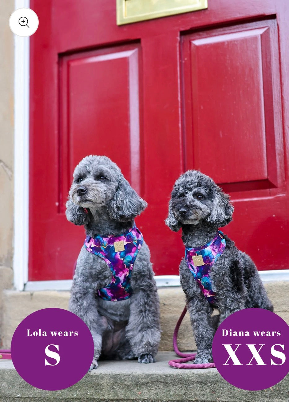 Paw Couture Cosmos Deluxe Adjustable Harness