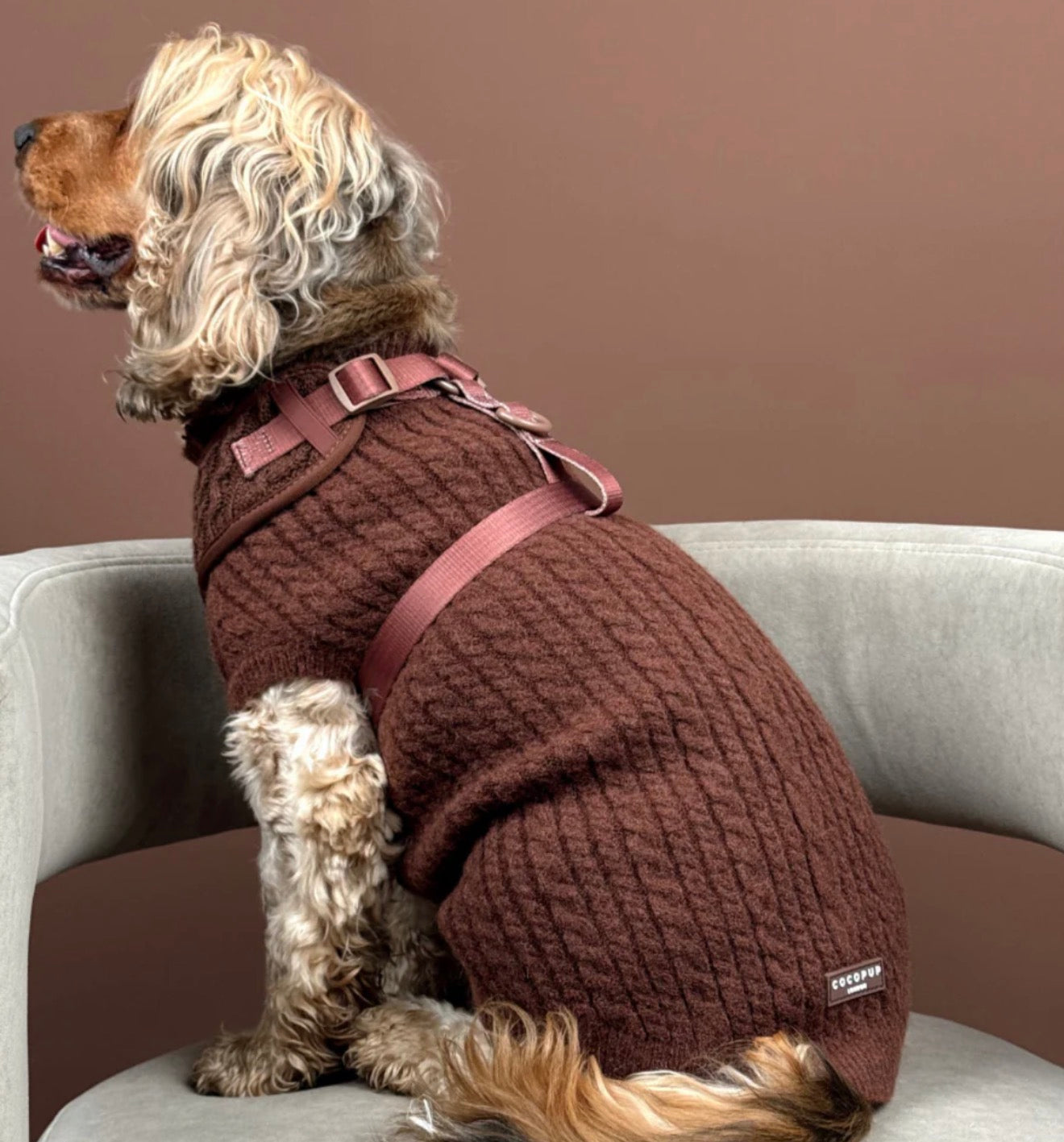 Cocopup London - JUMPER - CABLE KNIT HOT COCO