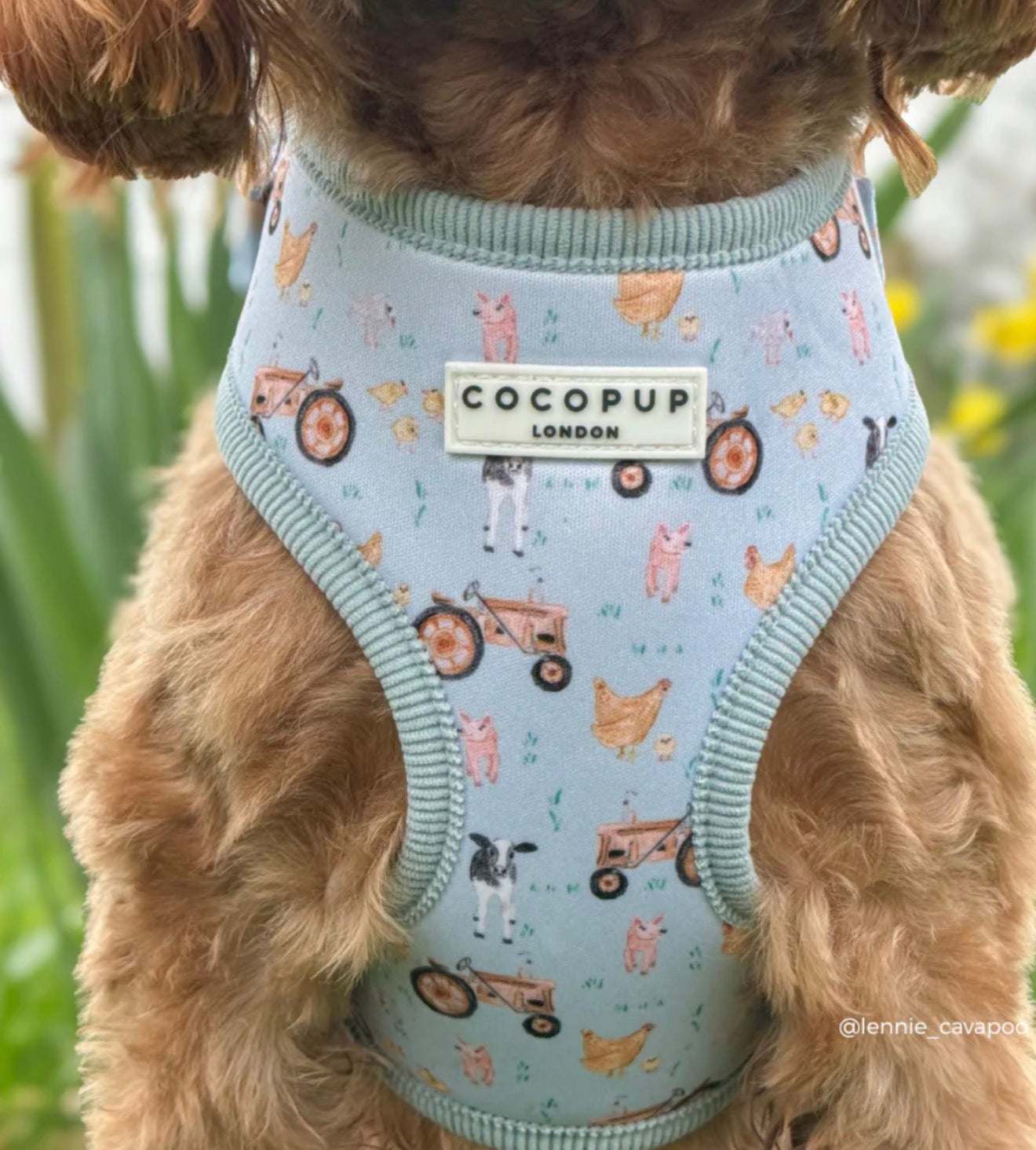 Cocopup London Barnyard Buddies Adjustable Neck Harness