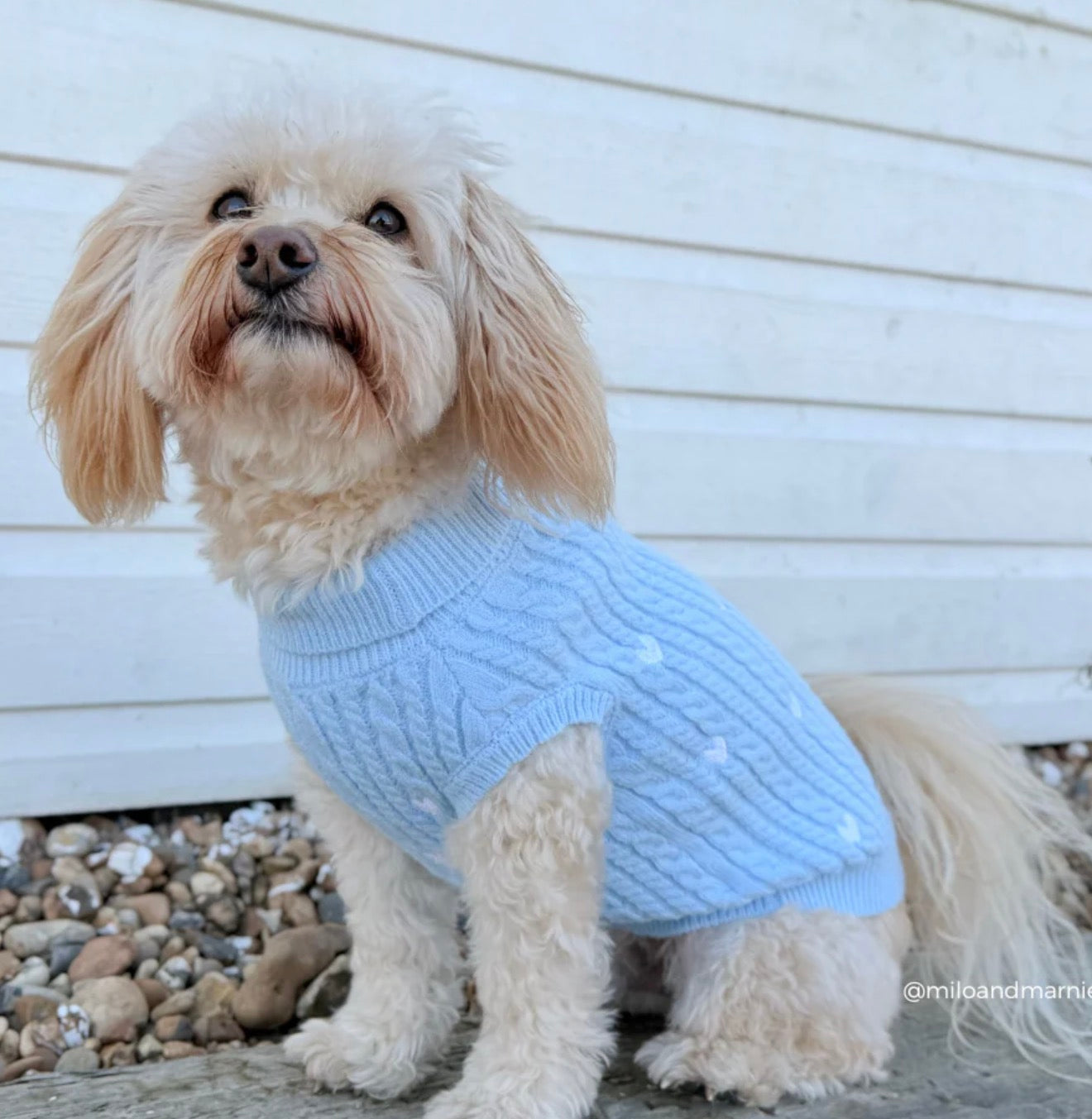 Cocopup London Jumper Cable Knit Blue Heartstrings