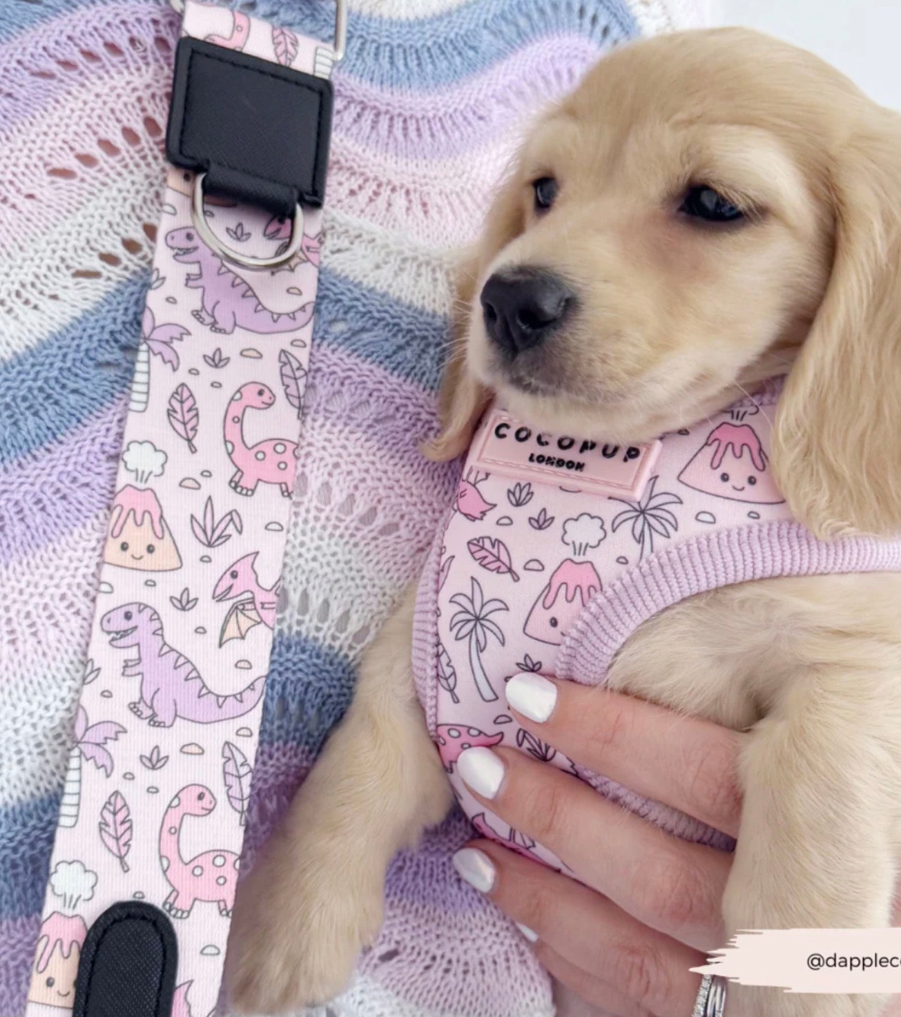 Cocopup London Princess Dino Adjustable Neck Harness