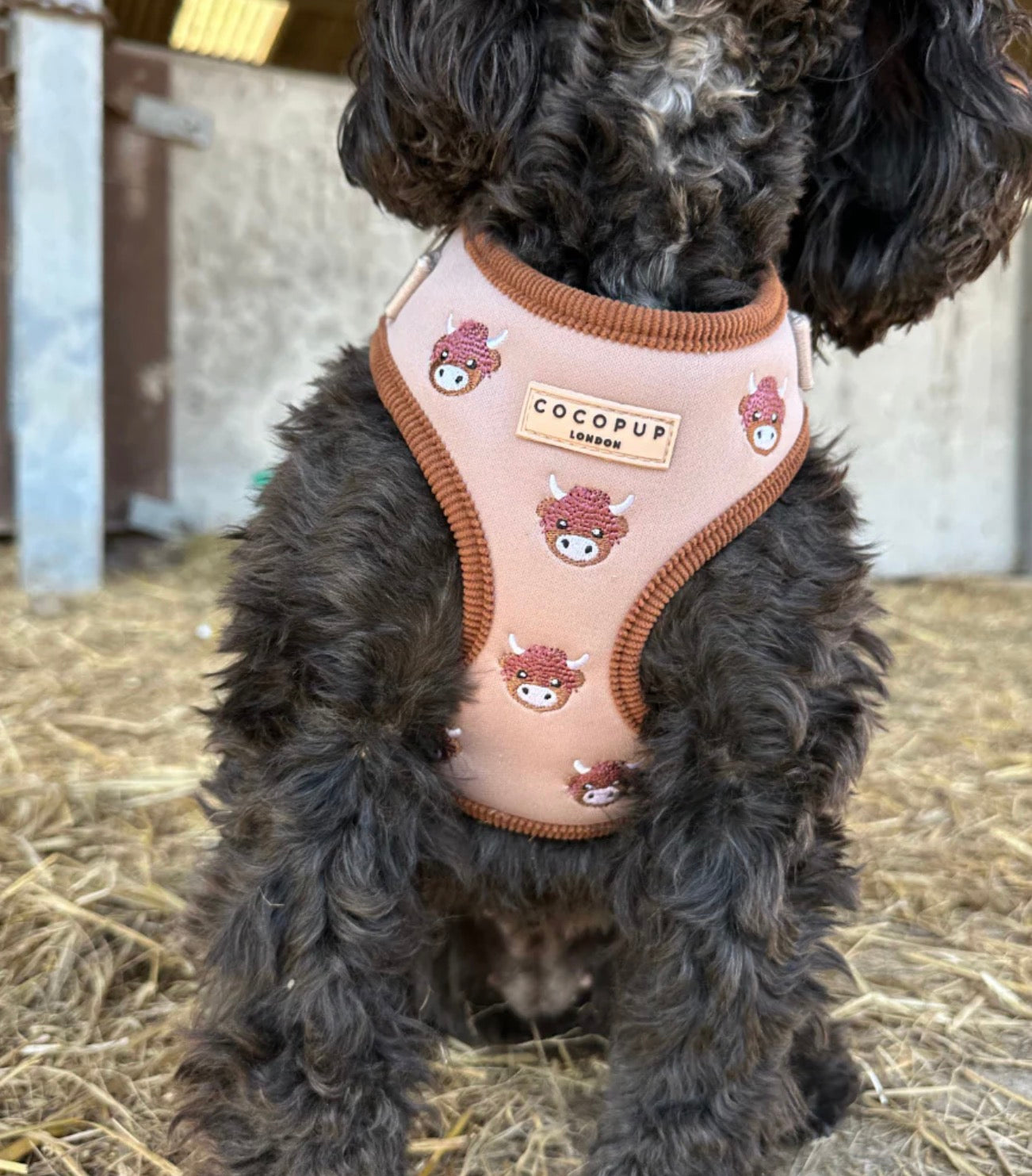 Cocopup London Harold the Highland Cow Adjustable Neck Harness
