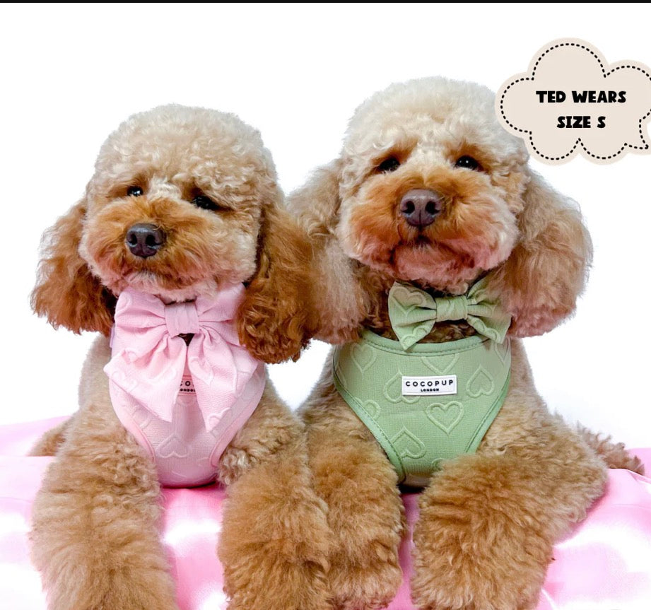 Cocopup London Baby Pink Heart Adjustable Neck Harness
