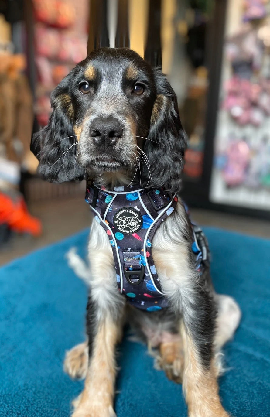 Murphy & Bailey Explore Harness - Space Pawdyssey