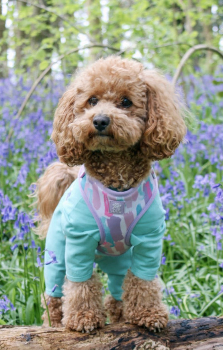 Equifleece Dog T-Shirt Body 16 Mint Green