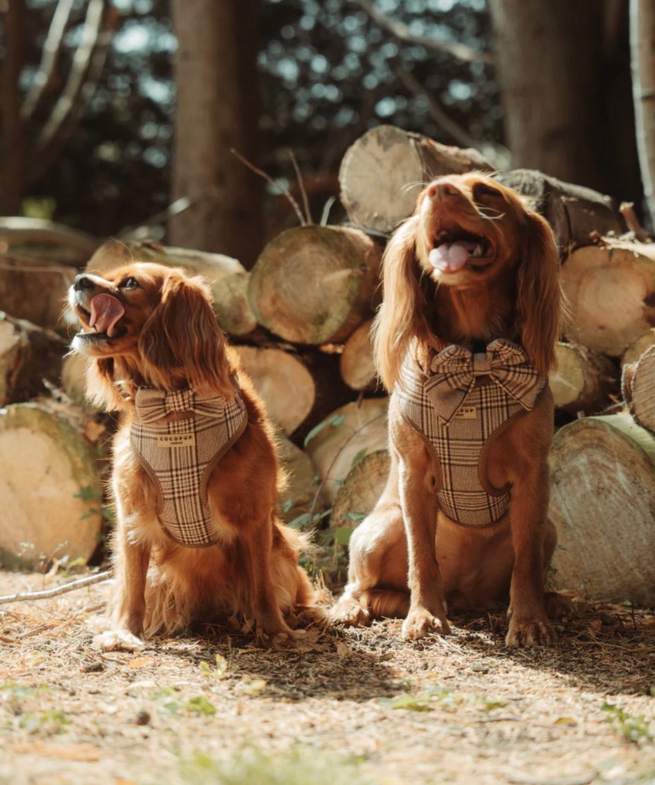 Cocopup London Pup Plaid Collar