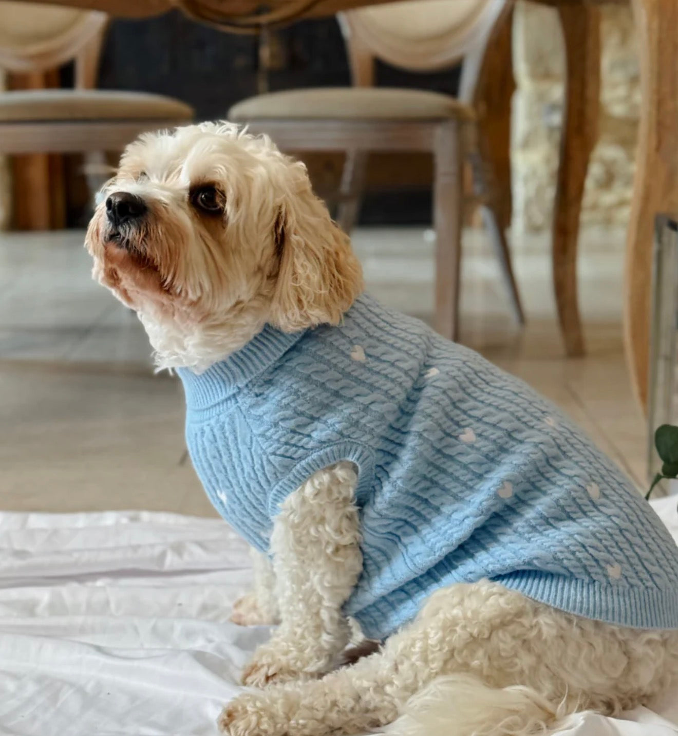 Cocopup London Jumper Cable Knit Blue Heartstrings