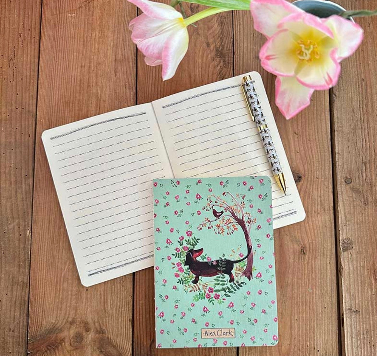 Alex Clark - Dachshund Naked Spine Notebook