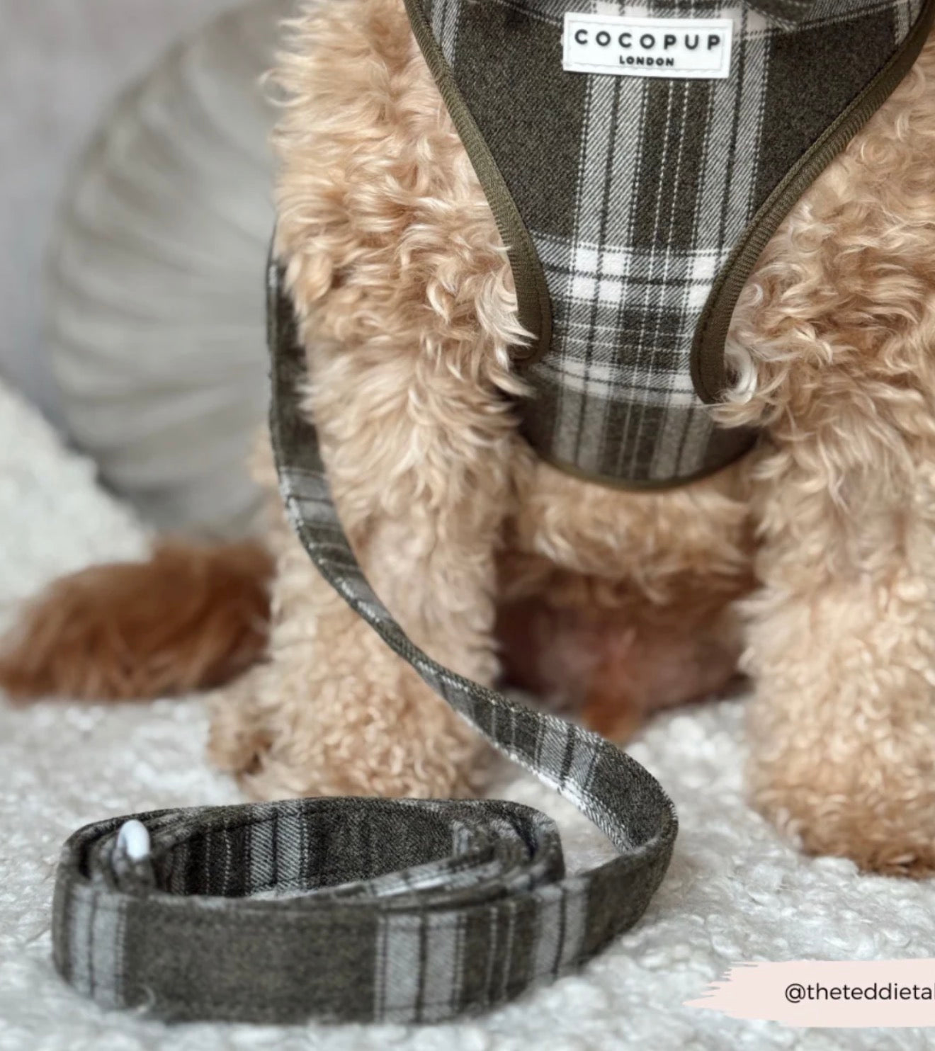 Cocopup London Olive Check Lead
