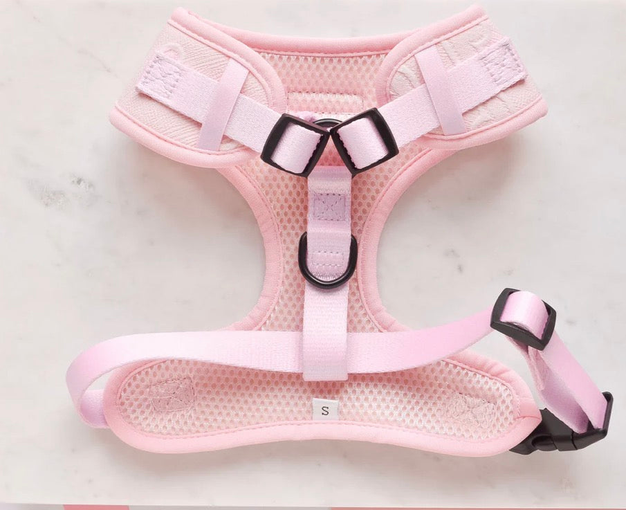 Cocopup London Baby Pink Heart Adjustable Neck Harness